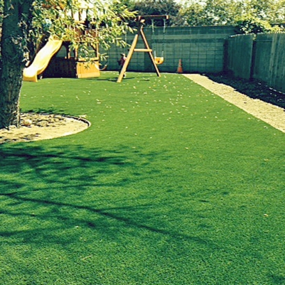 Synthetic Turf Supplier Daly City, California Landscaping, Small Backyard Ideas
