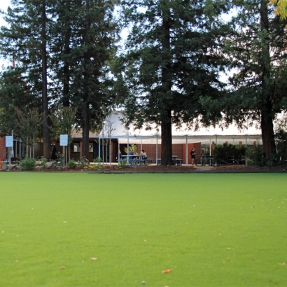 Synthetic Turf Supplier Farmington, California Lawn And Garden, Parks