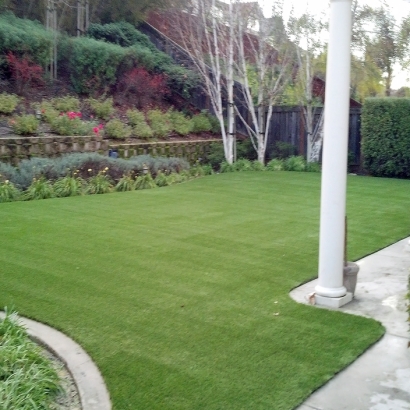 Synthetic Turf Supplier Parkway, California Roof Top, Backyard Makeover
