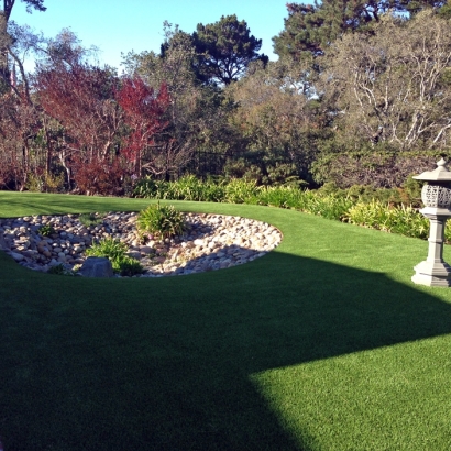 Synthetic Turf Supplier Ross, California City Landscape, Backyards