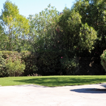 Synthetic Turf Supplier Sunol, California Roof Top, Front Yard Landscaping