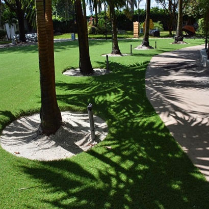 Turf Grass Fairfield, California Cat Playground, Commercial Landscape