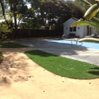 Turf Grass Forestville, California Lawns, Backyard Designs