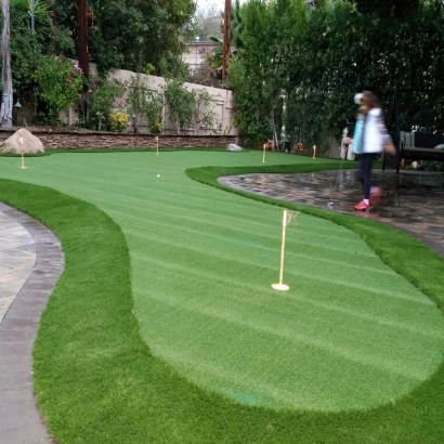 Turf Grass Herald, California Office Putting Green, Backyard Landscape Ideas