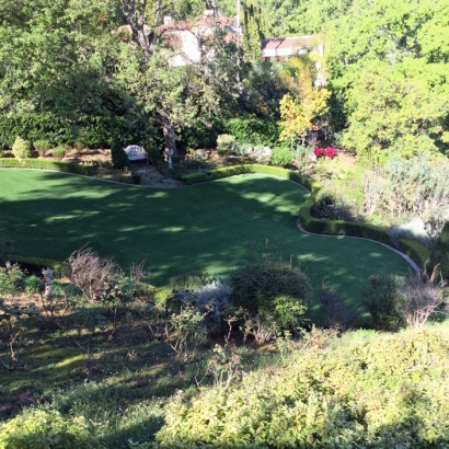 Turf Grass Knightsen, California City Landscape, Backyard Designs