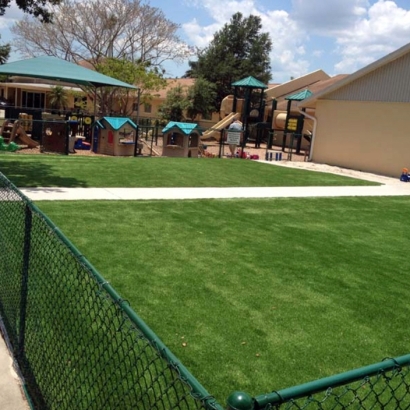 Turf Grass Oakland, California Garden Ideas, Commercial Landscape