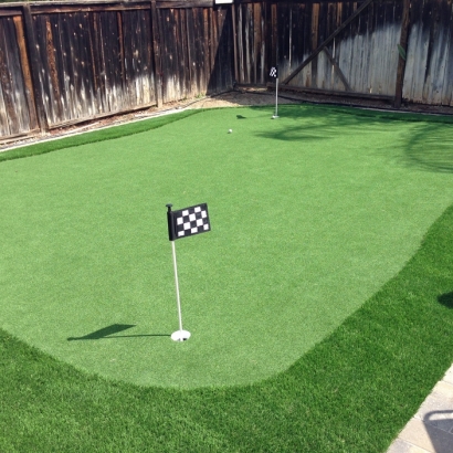 Turf Grass San Carlos, California Backyard Putting Green, Backyard Design