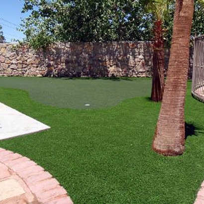 Turf Grass Sleepy Hollow, California Diy Putting Green, Backyard Designs