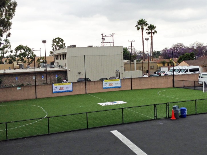 Artificial Grass Carpet Belmont, California Sports Athority, Commercial Landscape