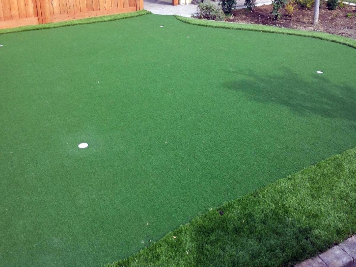 Artificial Grass Carpet Forestville, California Lawns