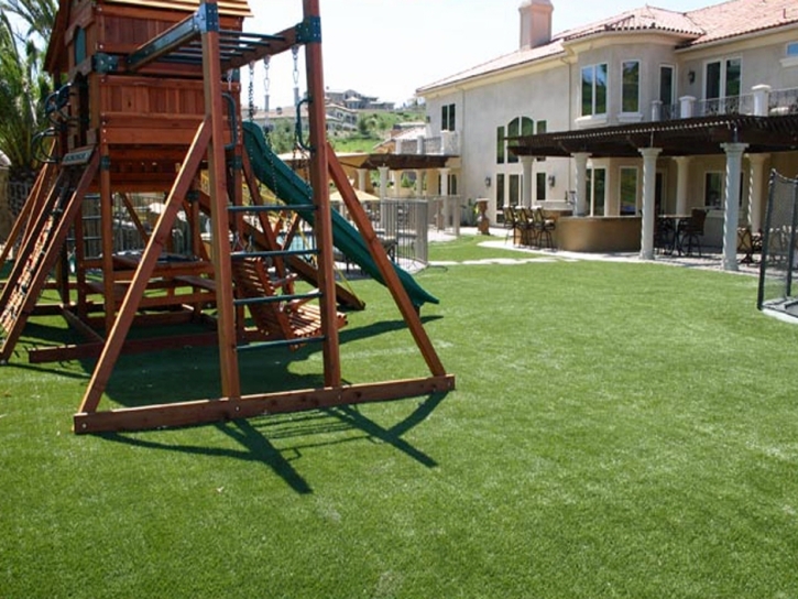 Artificial Grass Carpet Pleasanton, California Kids Indoor Playground, Backyard