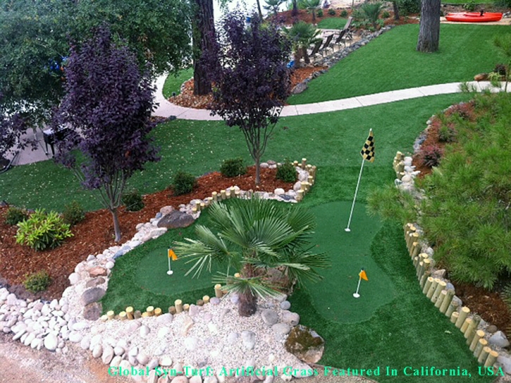 Artificial Grass Carpet San Francisco, California Landscape Ideas, Backyard