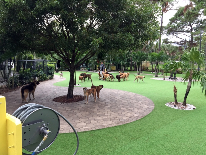 Artificial Grass Carpet Walnut Creek, California Gardeners, Commercial Landscape