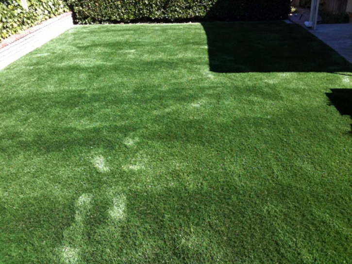 Artificial Grass Carpet Zayante, California Artificial Grass For Dogs, Beautiful Backyards