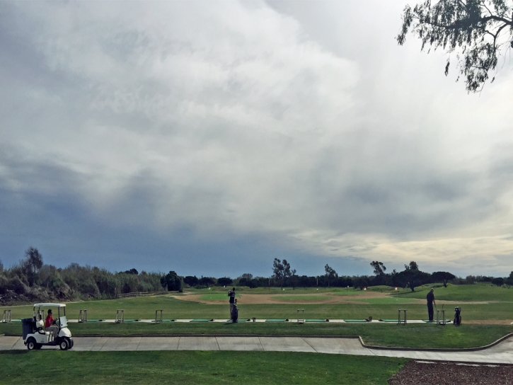 Artificial Grass Clyde, California Gardeners