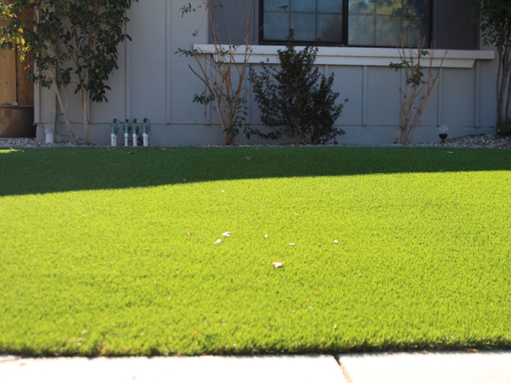 Artificial Grass Installation Byron, California Gardeners, Front Yard Ideas