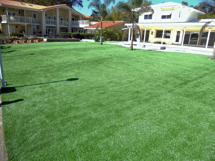 Artificial Grass San Martin, California Landscape Ideas, Natural Swimming Pools