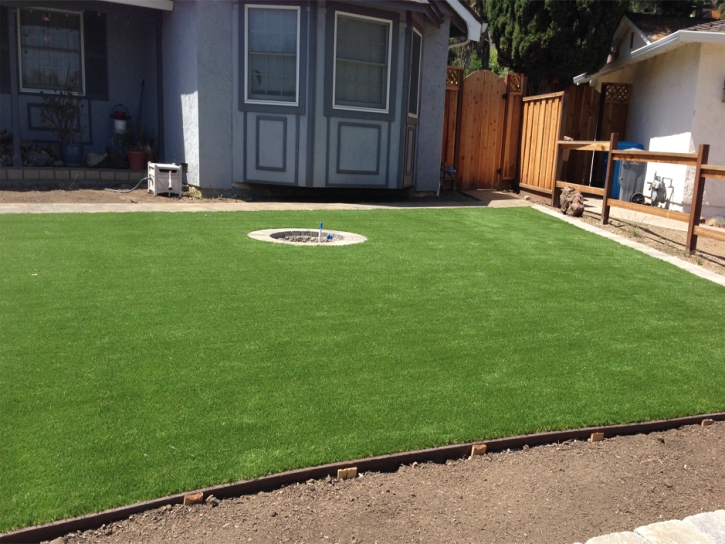 Artificial Turf Boyes Hot Springs, California Landscape Design, Backyard Design