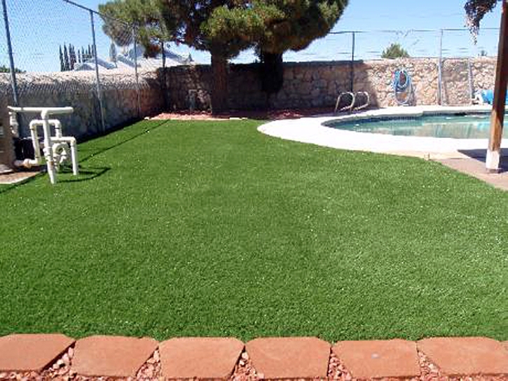 Artificial Turf Castroville, California Dog Hospital, Swimming Pools