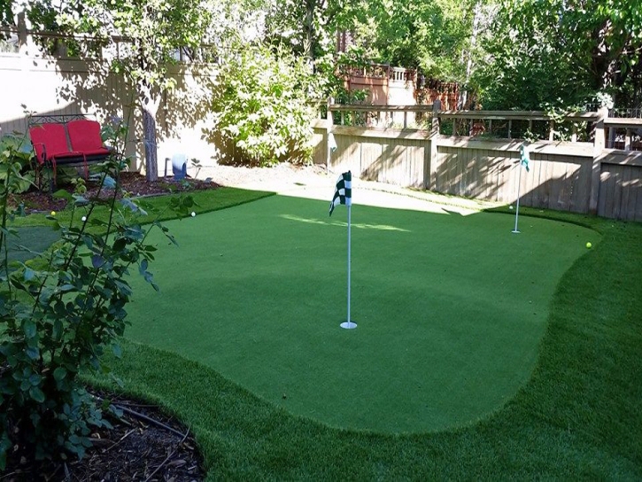Artificial Turf Cost Black Point-Green Point, California Backyard Playground, Backyard Landscaping