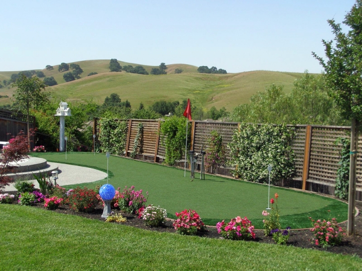 Artificial Turf Cost Colma, California Best Indoor Putting Green, Backyard Ideas