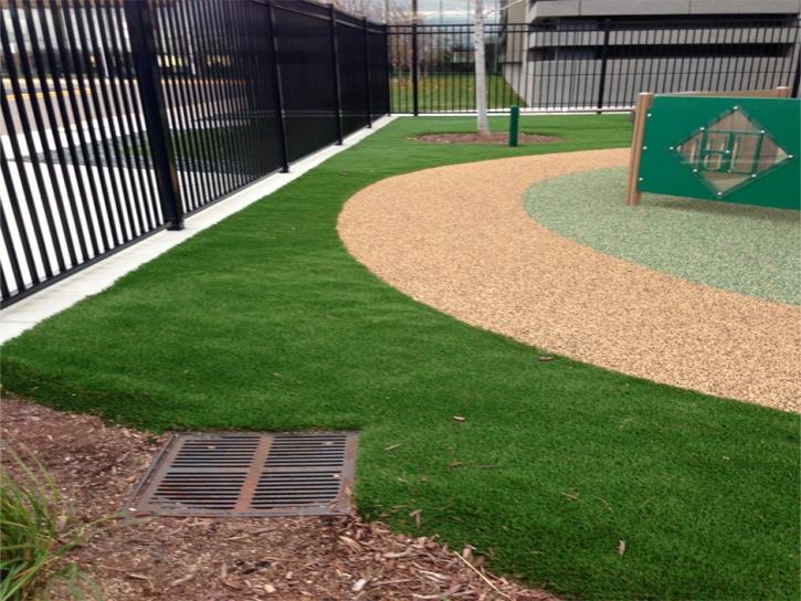 Artificial Turf Cost Live Oak, California Kids Indoor Playground, Commercial Landscape