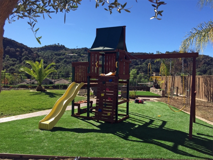 Artificial Turf Highlands-Baywood Park, California Design Ideas
