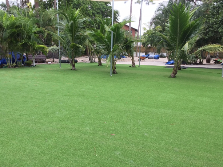 Artificial Turf Installation Deer Park, California Landscaping, Commercial Landscape