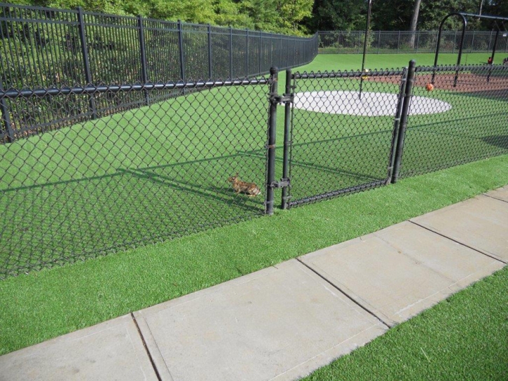 Artificial Turf Larkfield-Wikiup, California Lawn And Garden, Parks