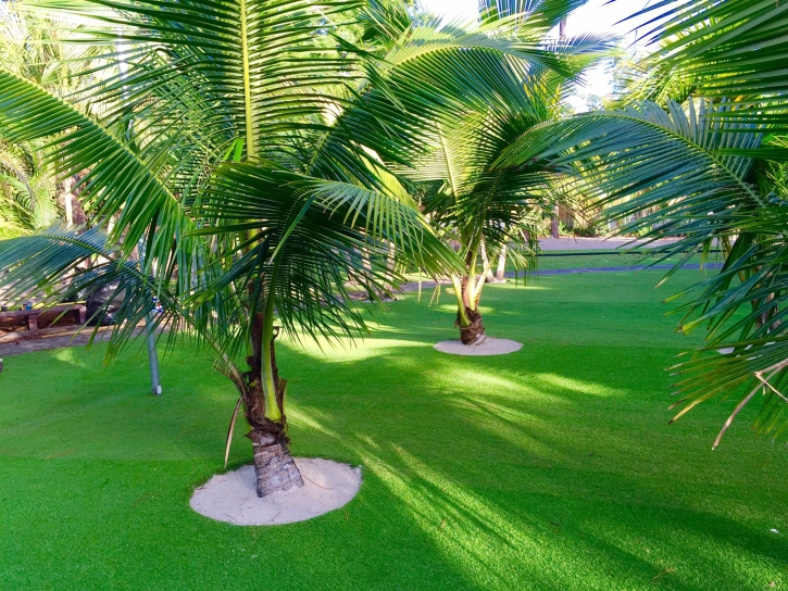 Artificial Turf Valley Ford, California Lawn And Landscape, Commercial Landscape