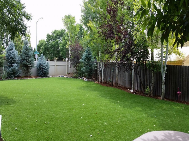 Best Artificial Grass Hayward, California Dog Run, Beautiful Backyards