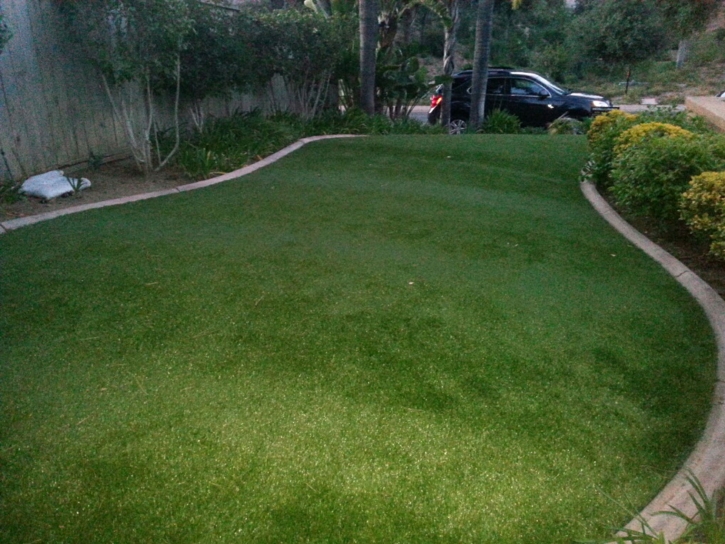 Best Artificial Grass Occidental, California Rooftop, Front Yard Landscape Ideas