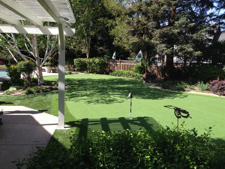Best Artificial Grass Roseland, California Home And Garden