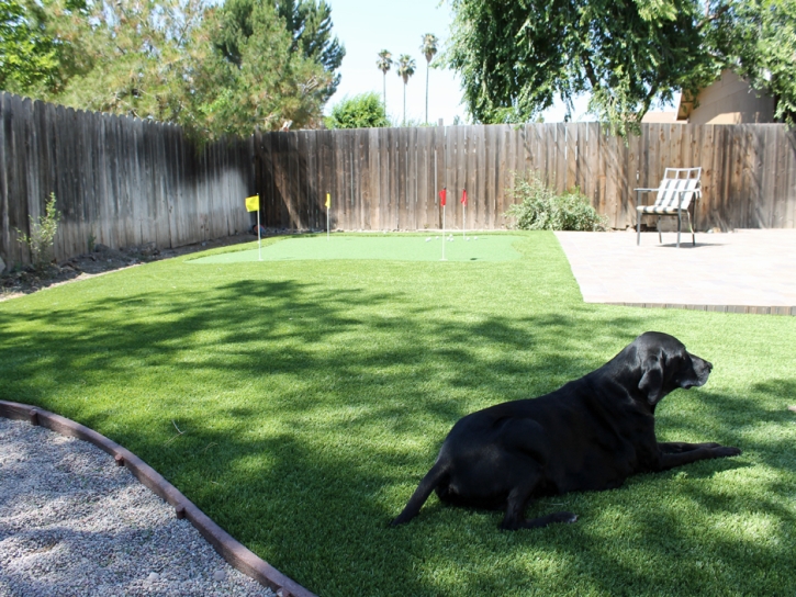 Best Artificial Grass Santa Clara, California Putting Green Carpet, Grass for Dogs