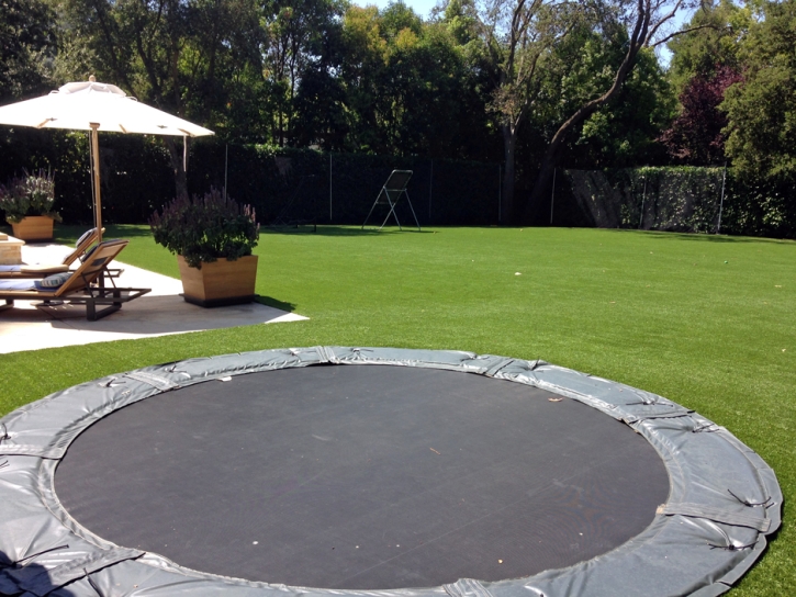 Best Artificial Grass Terminous, California Lawn And Landscape, Backyard Landscaping