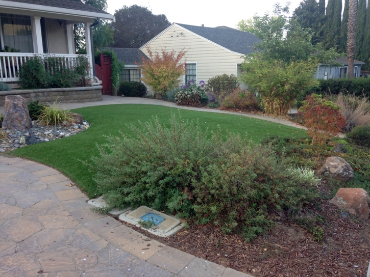 Fake Grass Carpet Del Rio, California Landscaping Business, Front Yard