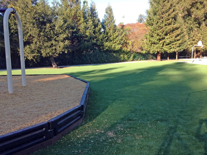 Fake Grass Carpet Riverdale Park, California Lawn And Garden, Recreational Areas