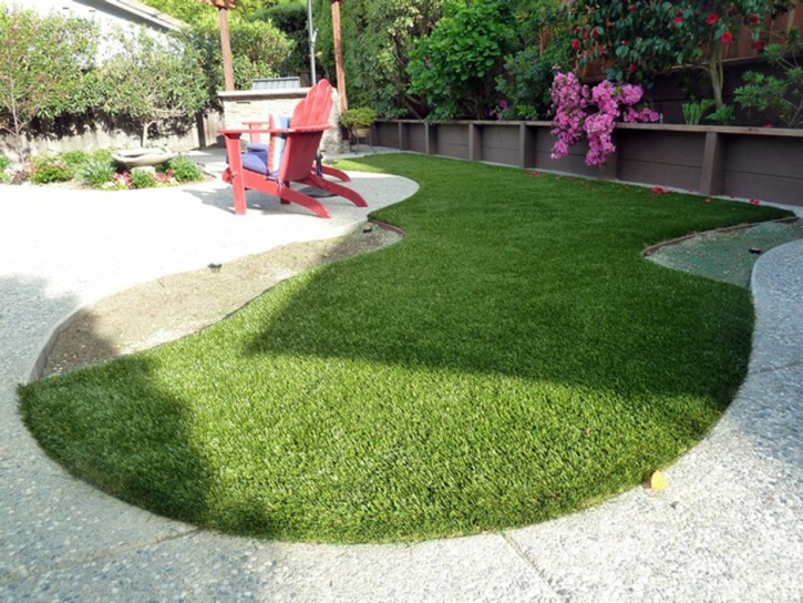 Fake Grass Saratoga, California Design Ideas, Backyard Ideas