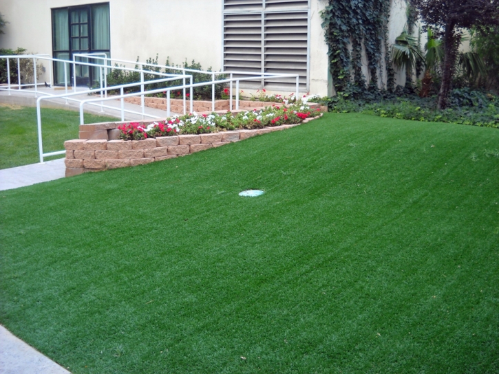 Fake Grass Vineyard, California Putting Green Carpet, Landscaping Ideas For Front Yard