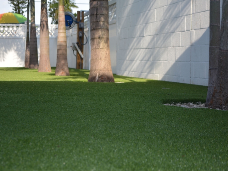 Fake Lawn Rutherford, California Landscape Design, Commercial Landscape