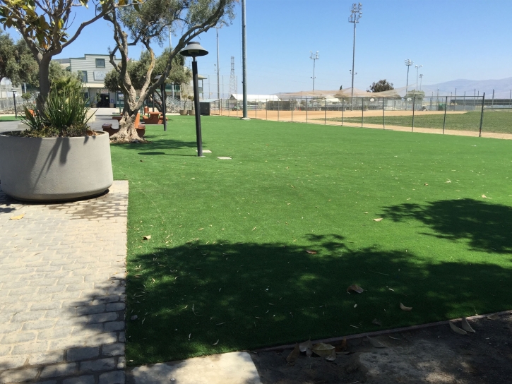 Fake Turf Mount Hermon, California Roof Top, Commercial Landscape