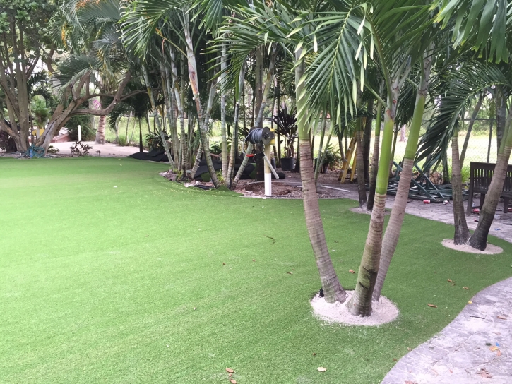 Faux Grass Santa Rosa, California Backyard Playground, Commercial Landscape