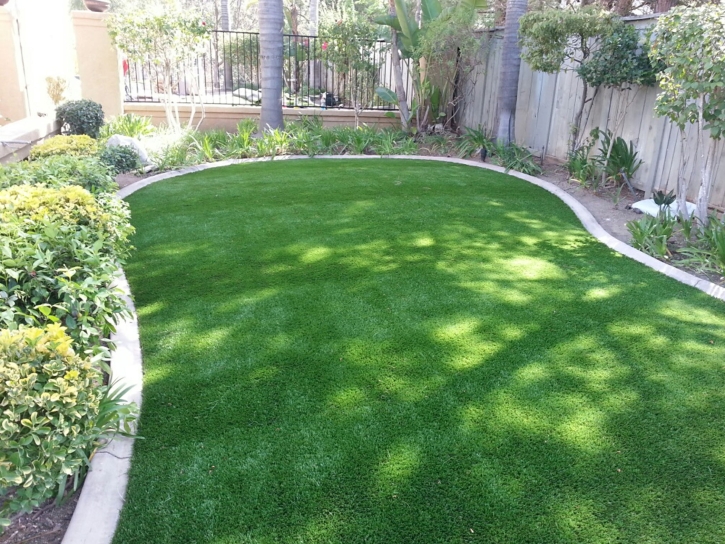 Grass Carpet Discovery Bay, California Landscape Ideas