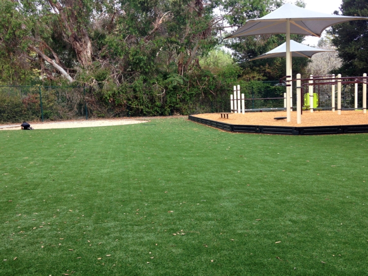 Grass Carpet El Cerrito, California Indoor Playground