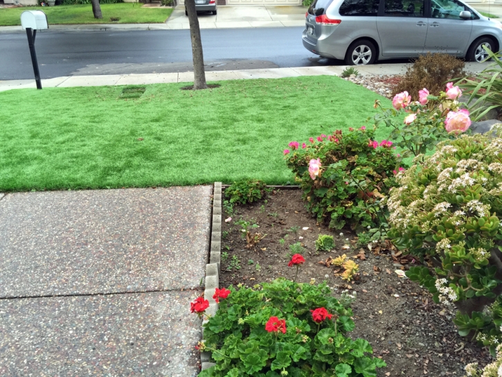 Grass Carpet Emeryville, California Landscape Rock, Front Yard Landscaping