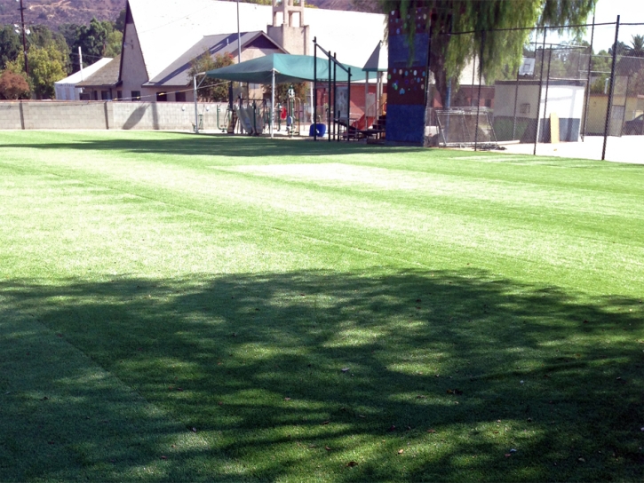 Grass Carpet Pasatiempo, California Stadium, Parks