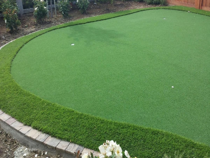 Grass Carpet Rodeo, California Design Ideas, Backyard Design