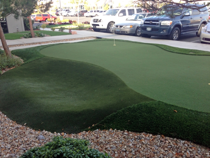 Grass Carpet Salmon Creek, California Putting Green Carpet, Commercial Landscape