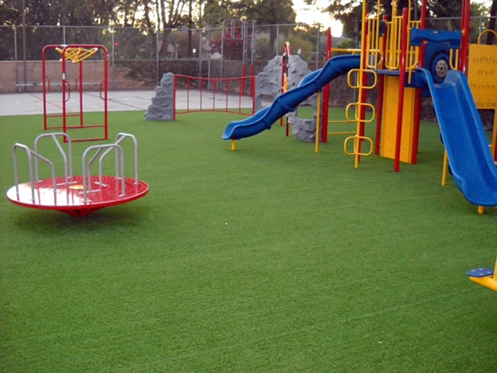 Grass Carpet Sebastopol, California Design Ideas, Parks