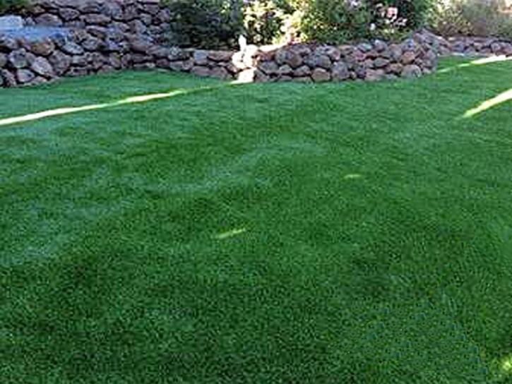 Grass Carpet Tiburon, California Backyard Deck Ideas, Small Backyard Ideas